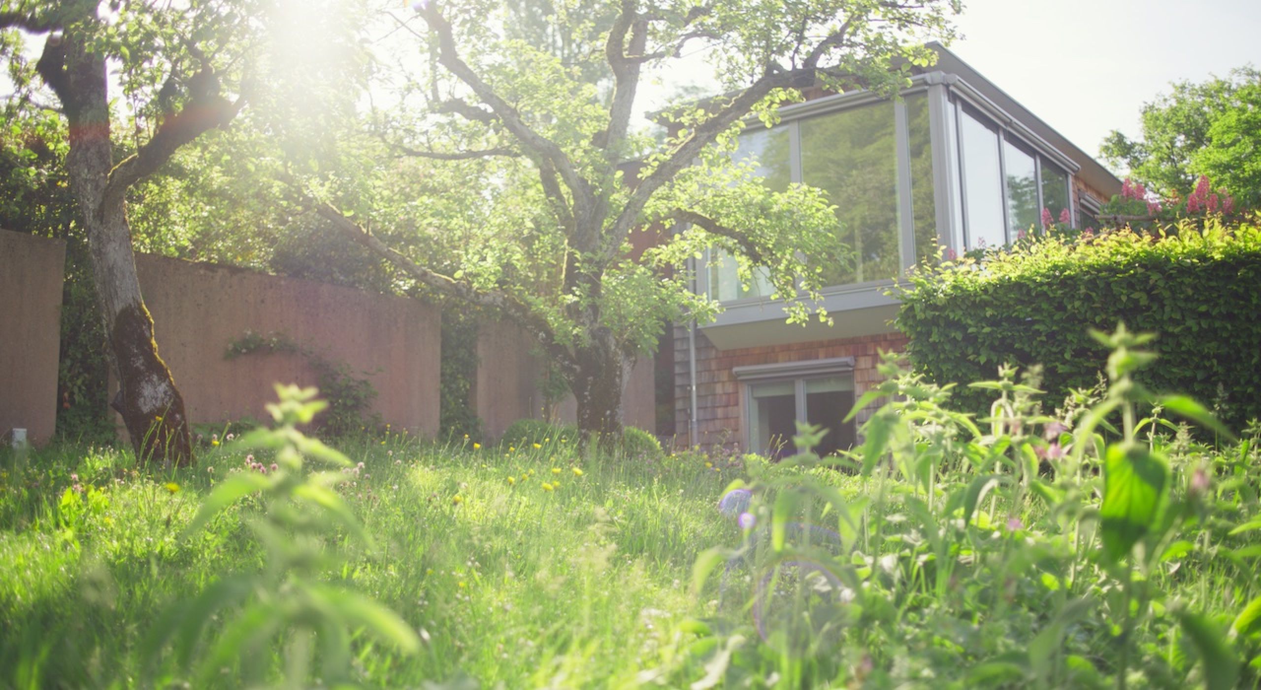 Bont_Gartenbau_Slide02